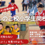 ししのこ小学生